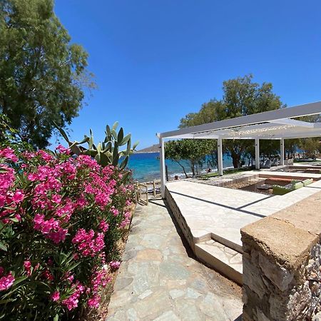 Villa Aristoteles Chalki Town Eksteriør bilde