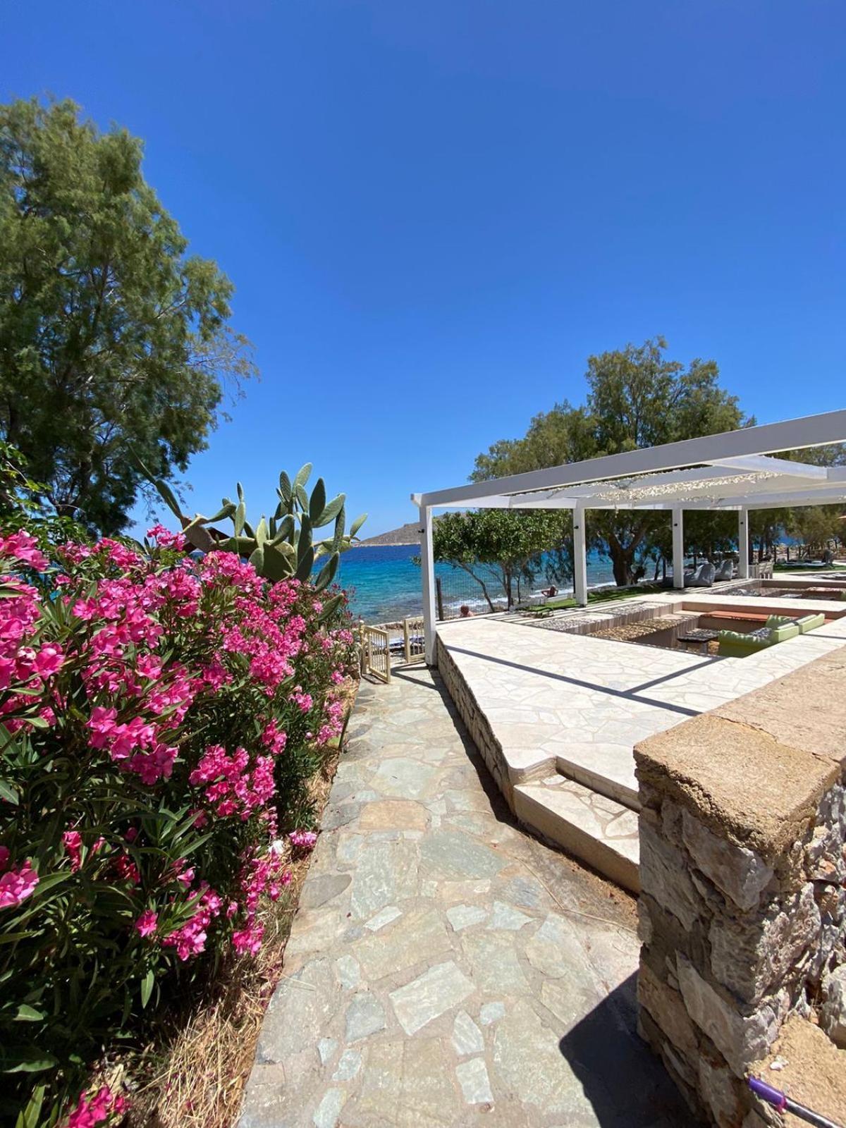 Villa Aristoteles Chalki Town Eksteriør bilde